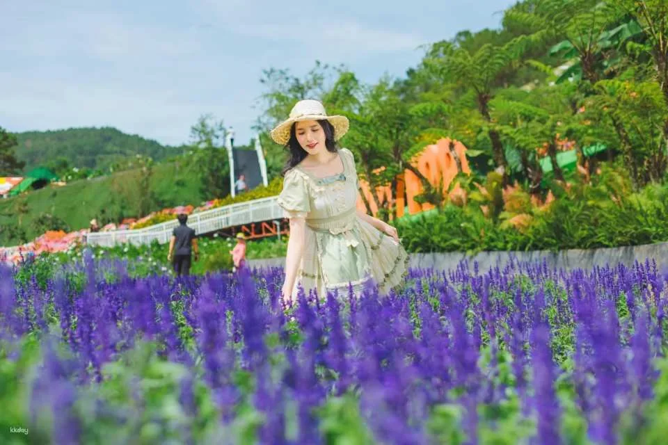 Dalat | Fun and Farm Experience with Local Guide | Half-day Tour in Dalat