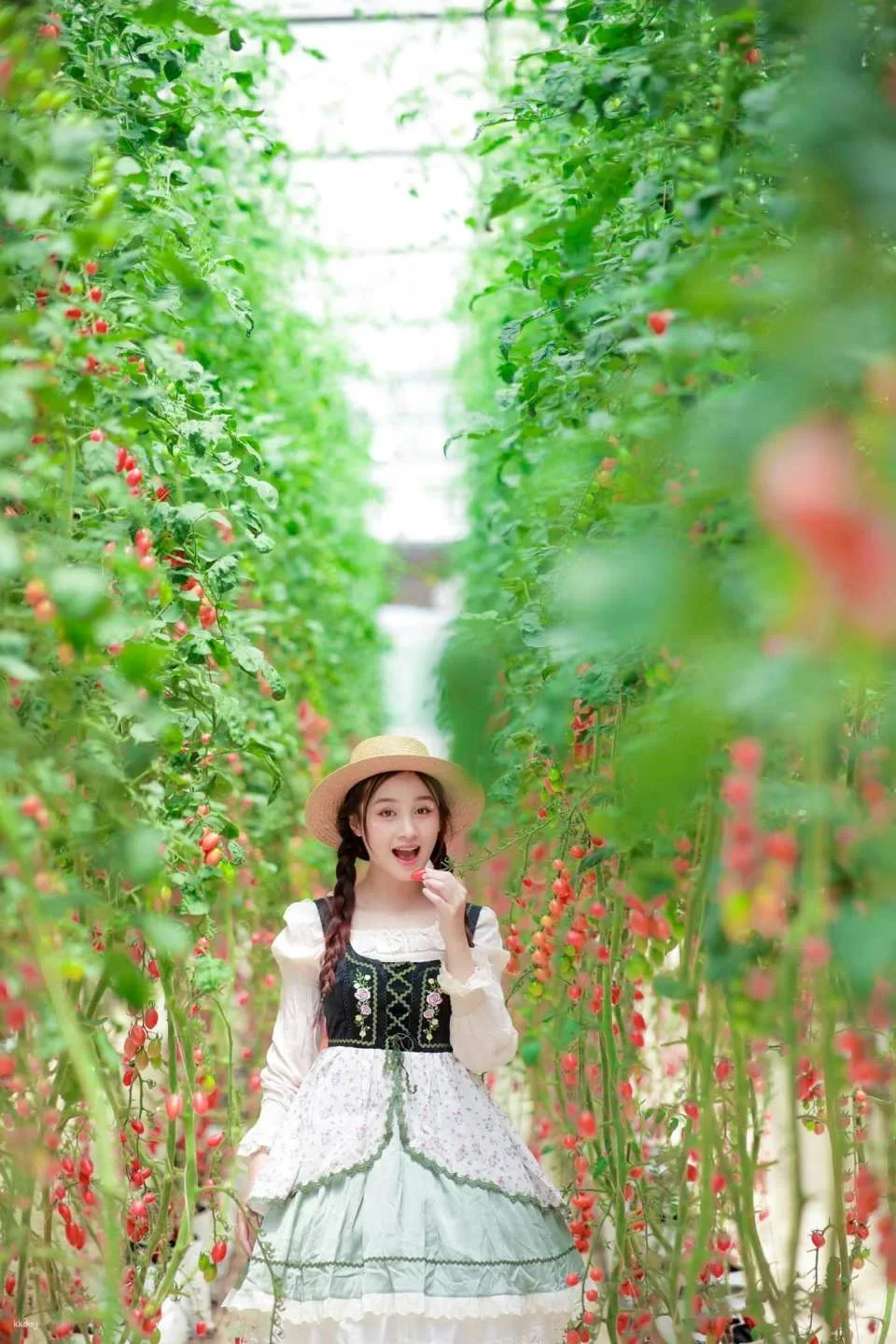 Dalat | Fun and Farm Experience with Local Guide | Half-day Tour in Dalat