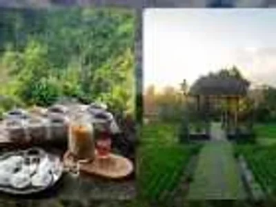 Inner Harmony: Yoga & Sound Healing Experience with Coffee Break | Bali