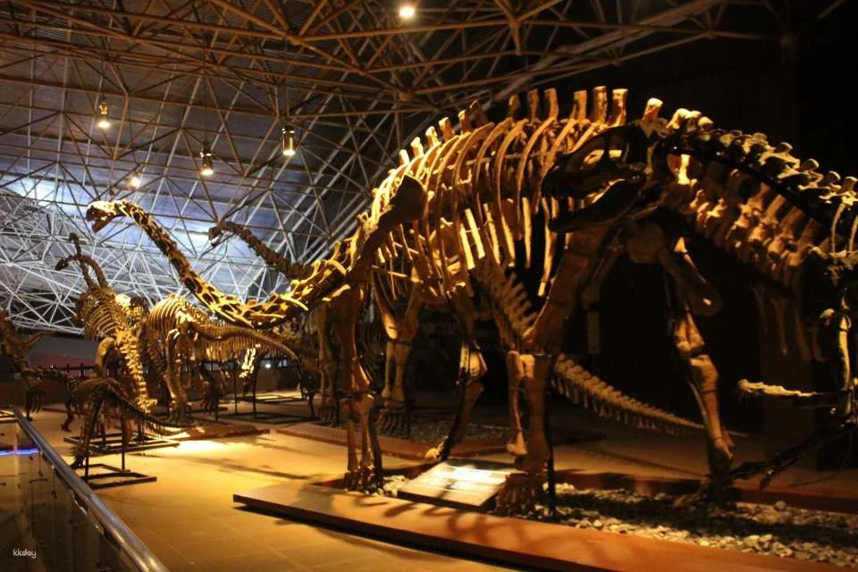 Chuxiong, Yunnan | Dinosaur Time and Space Park + Dinosaur Relics Park Adult Ticket for World Dinosaur Valley Tourist Area