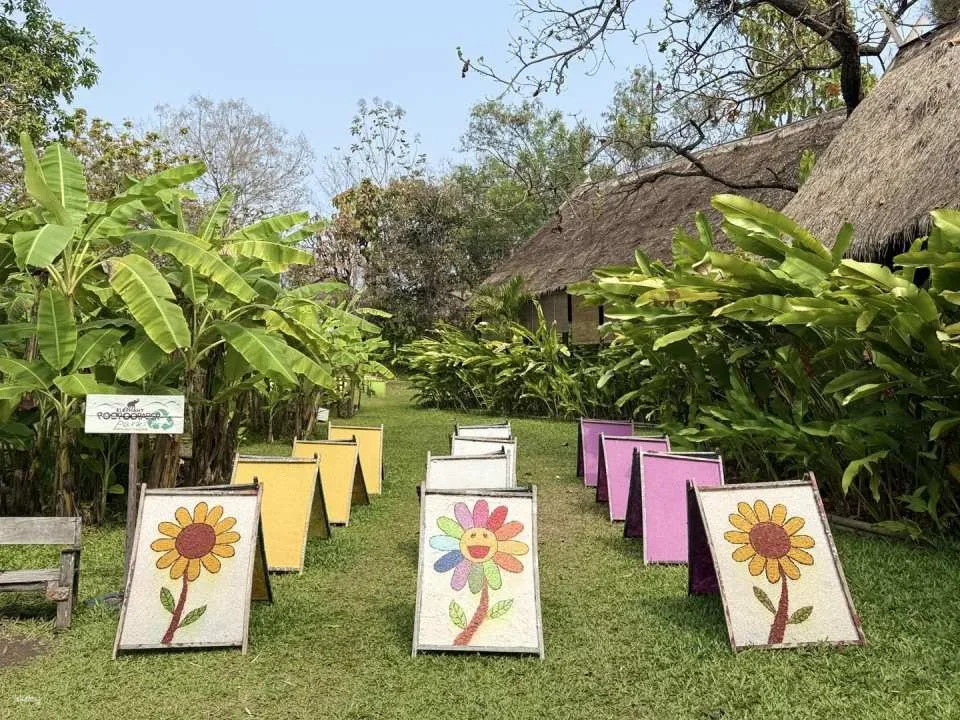 Elephant Poopoopaper Park Entry Ticket | Chiang Mai