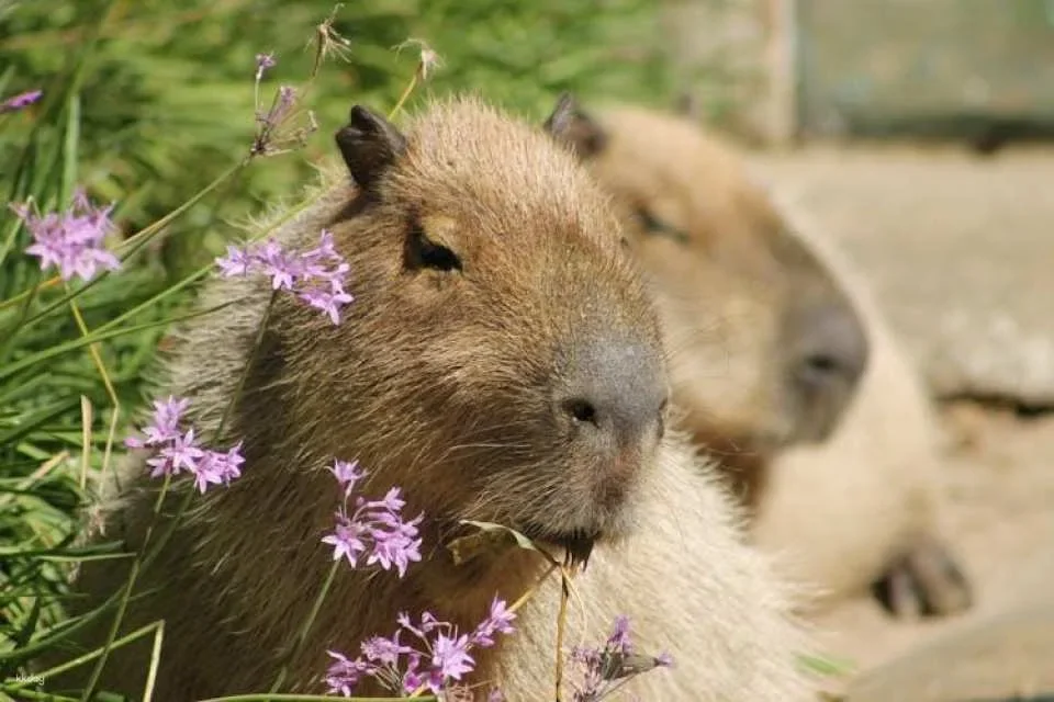 Self-guided nature experience at Navarra Sendaviva Park