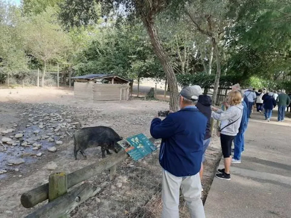 Self-guided nature experience at Navarra Sendaviva Park