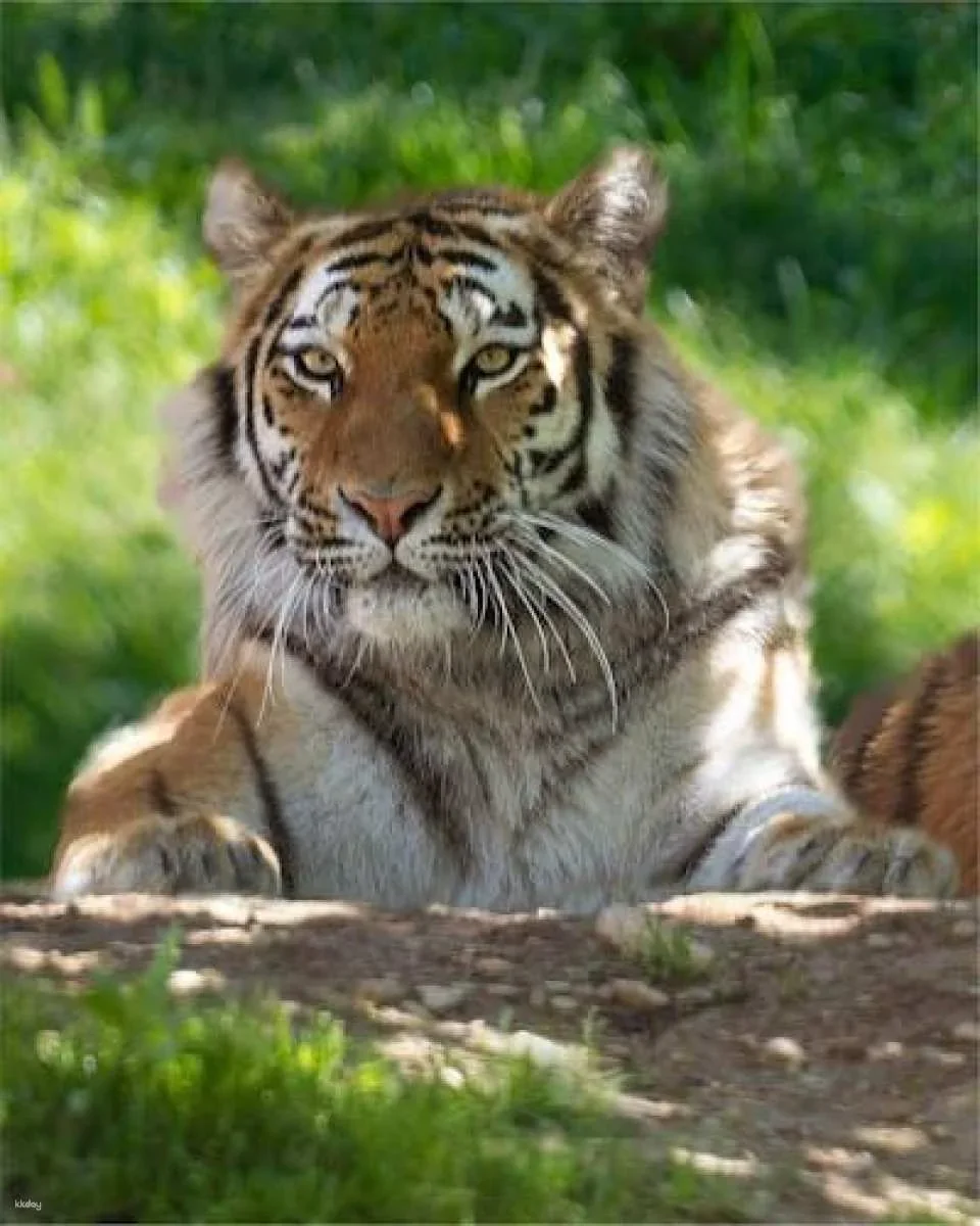 Self-guided nature experience at Navarra Sendaviva Park