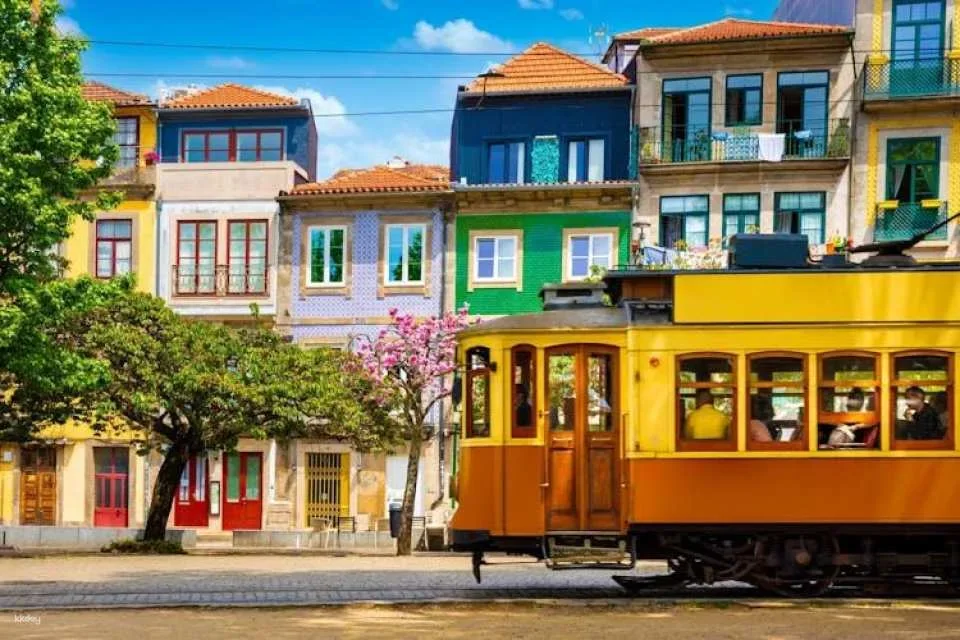 Porto pass for Six Bridges Cruise and city museums