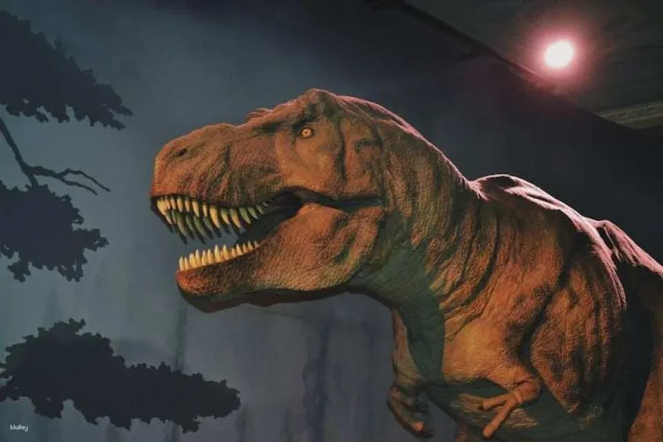 London Natural History Museum Ticket and In-App Audio Tour