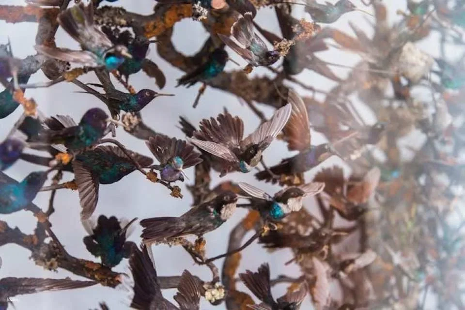 London Natural History Museum Ticket and In-App Audio Tour