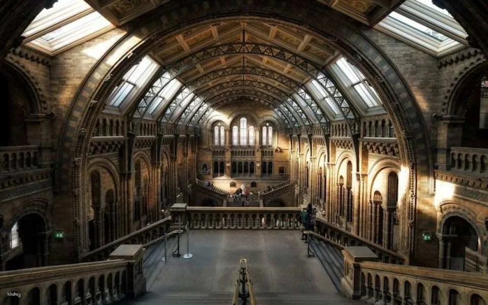London Natural History Museum Ticket and In-App Audio Tour