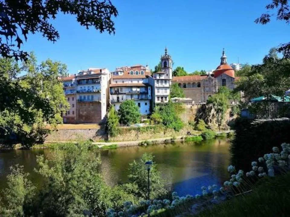 Historical guided tour of the Alto Douro Wine Region with wine tasting