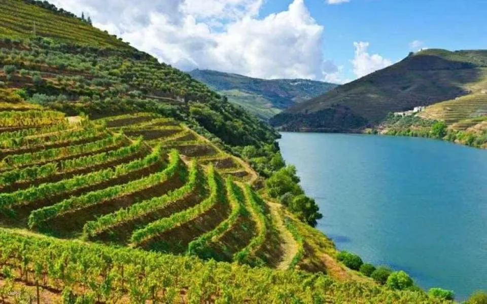 Historical guided tour of the Alto Douro Wine Region with wine tasting
