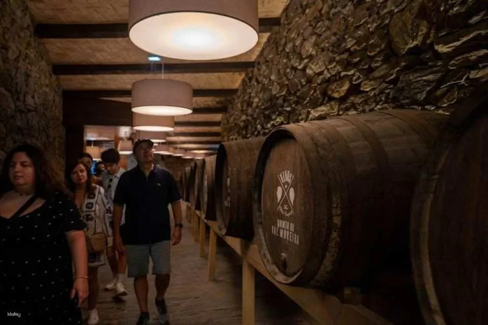 Historical guided tour of the Alto Douro Wine Region with wine tasting