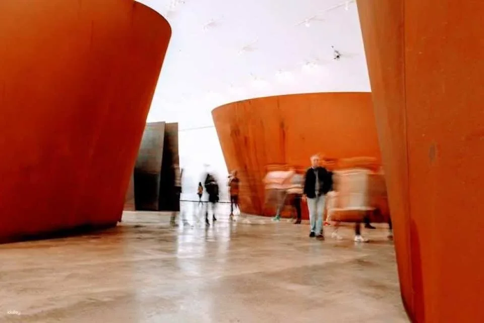 Bilbao Guggenheim Museum Entrance Ticket