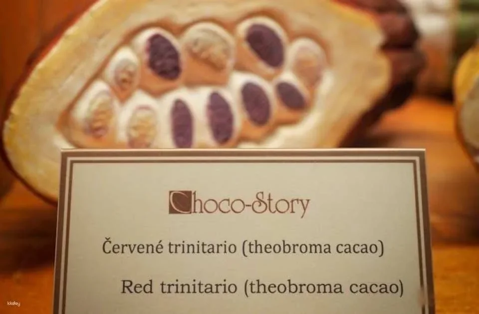 Choco Story Prague Museum Entry Ticket with Chocolate Tasting