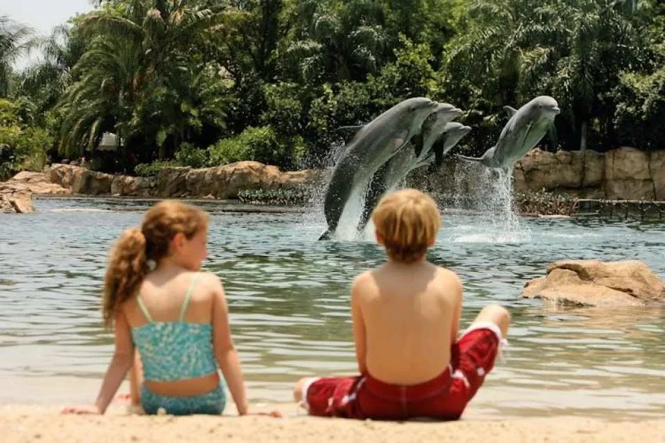 Discovery Cove Packages 2027