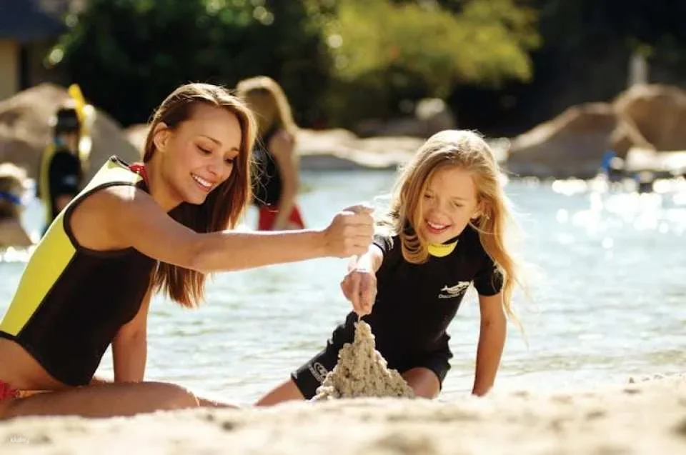 Discovery Cove Packages 2027