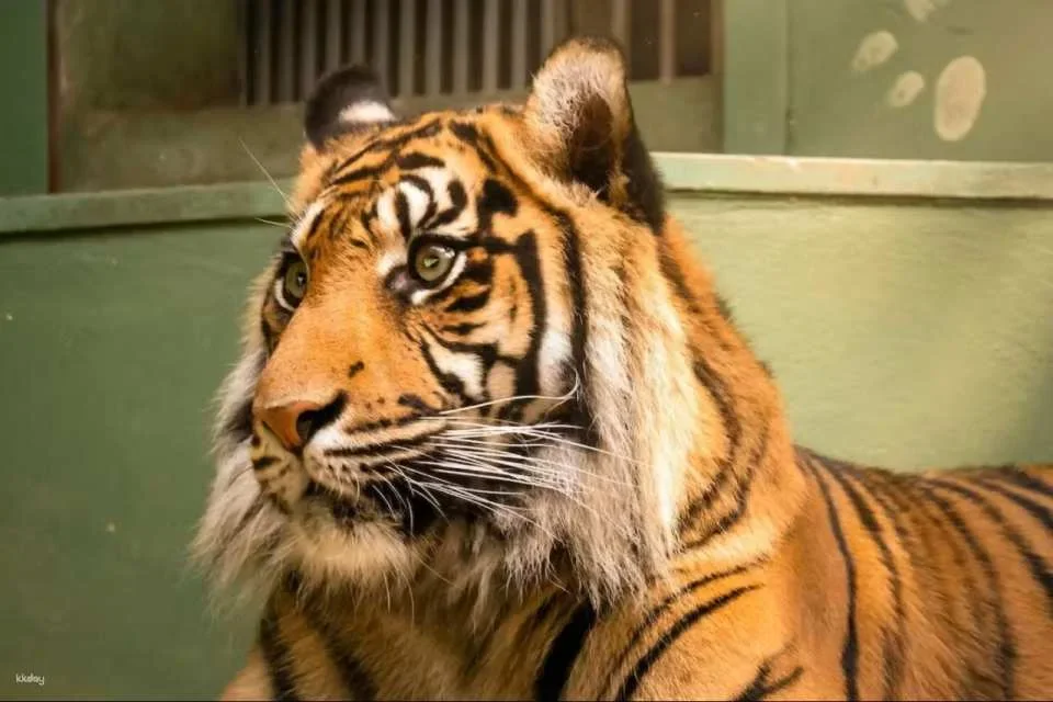Prague Zoo Ticket + Audio Guide