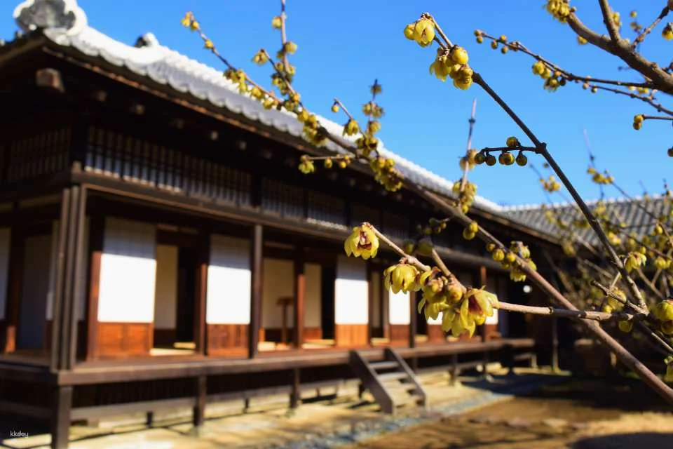 Kodokan admission ticket (Mito City, Ibaraki Prefecture)