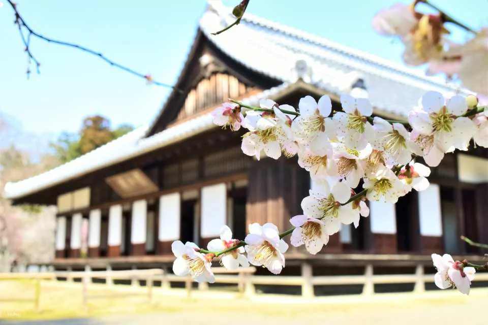 Kodokan admission ticket (Mito City, Ibaraki Prefecture)