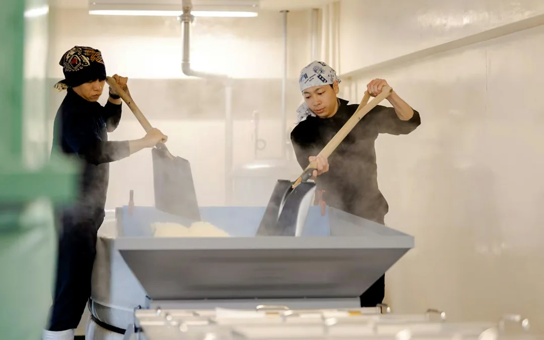 Koga: Aoki Shuzo Sake Brewery Tour with Tasting Image 2