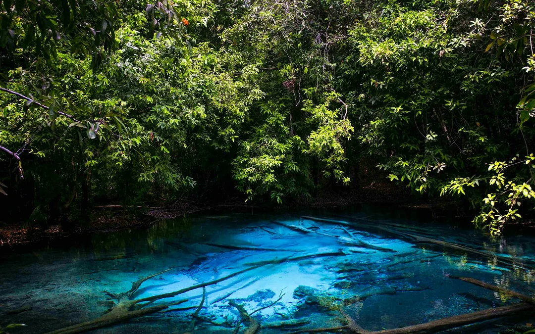 Krabi: Tiger Cave Temple, Emerald Pool & Hot Springs Tour with Hotel Transfers & Lunch Image 4