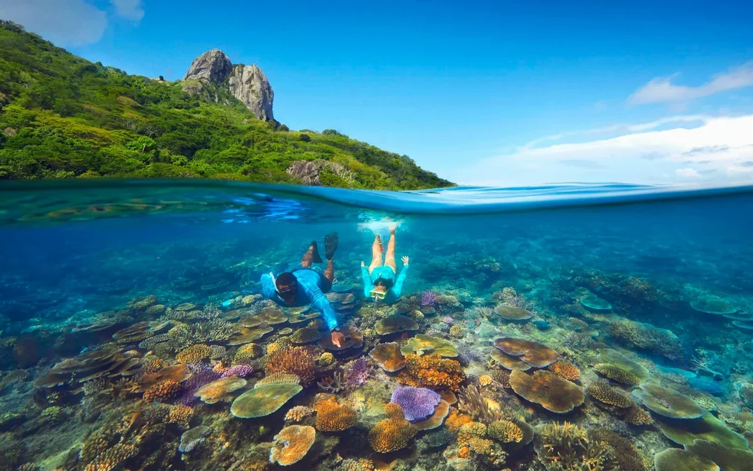 Kuata Island Marine Conservation Experience With Lunch Image 3