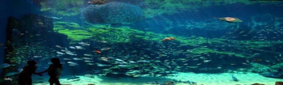 Kujukushima Aquarium Umi Kirara Admission Ticket | Japan