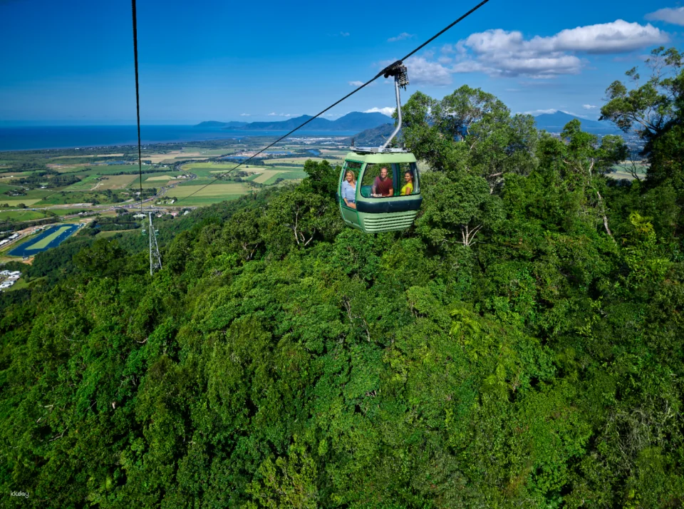 Kuranda Skyrail & Scenic Railway Day Package | Cairns