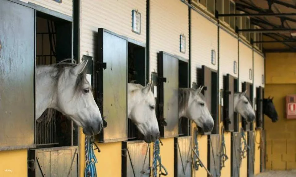 La Cartuja Stud Farm Ticket