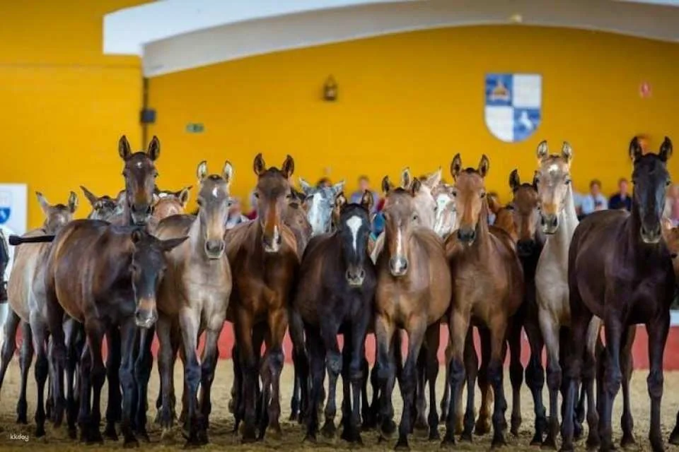 La Cartuja Stud Farm Ticket
