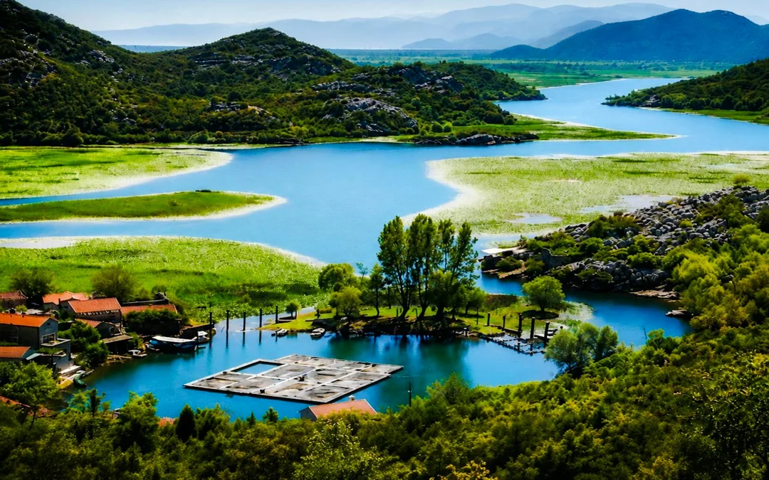Lake Skadar Small-Group Boat Tour with Complimentary Drink Image 3