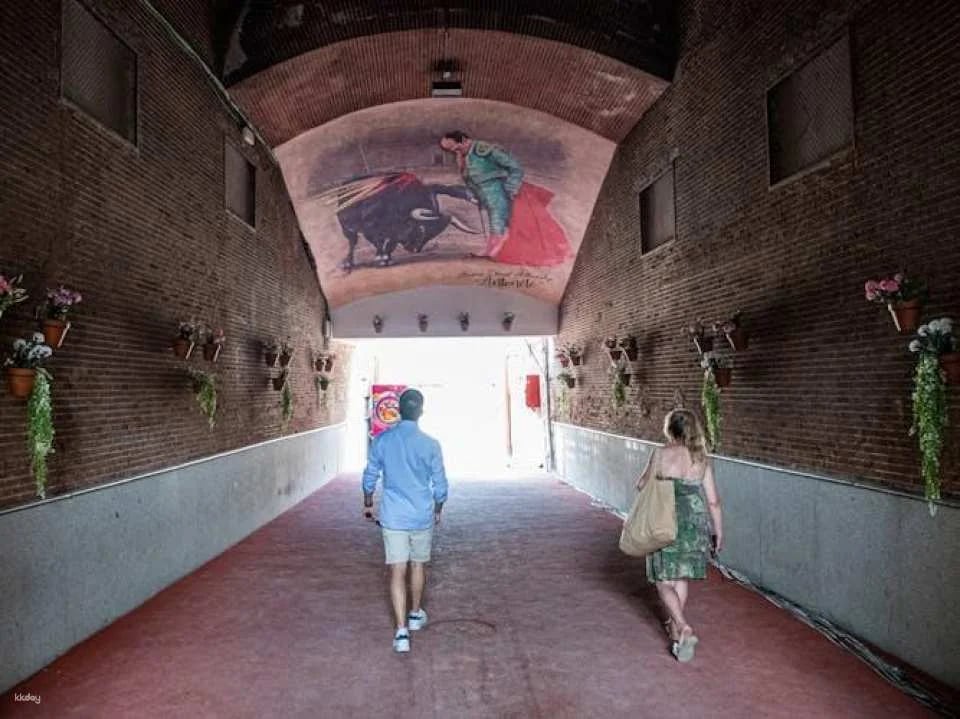Las Ventas bullring and museum visit with audio guide