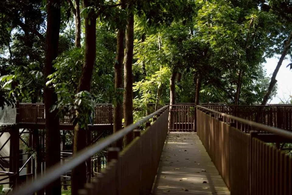 Lavender Forest Nantou Jiujiu Peak Park Ticket