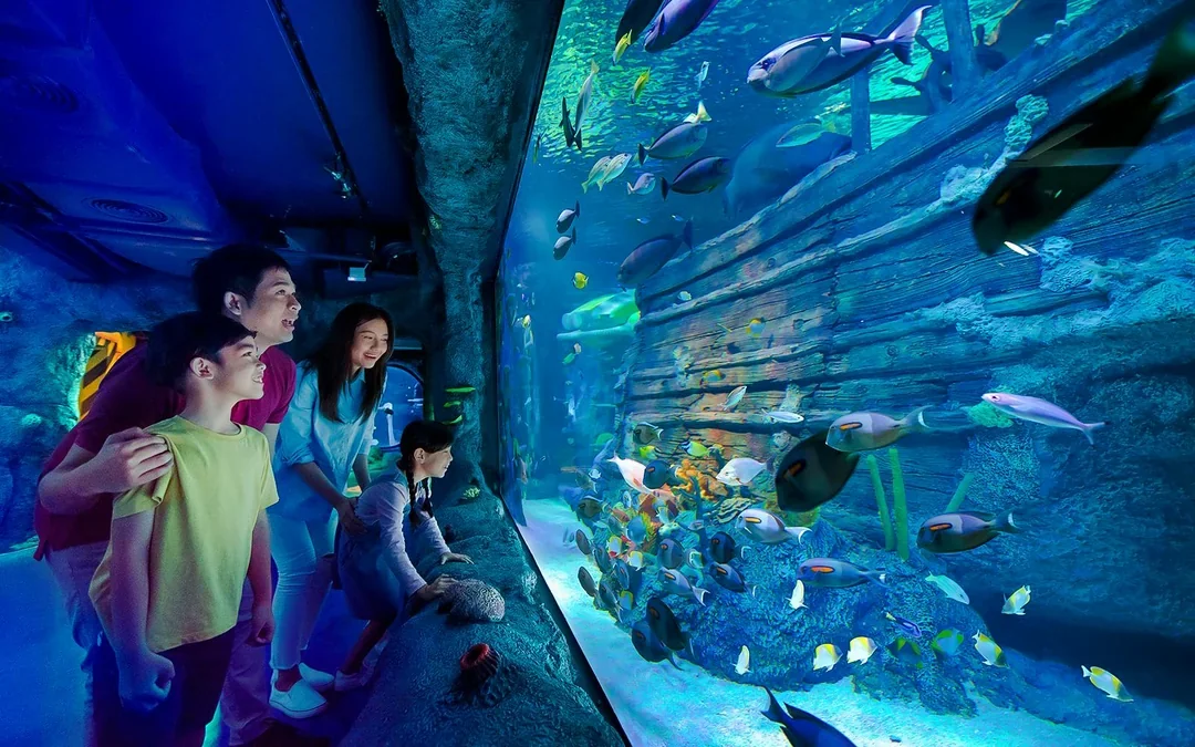 LEGOLAND® Malaysia SEA LIFE Image 3