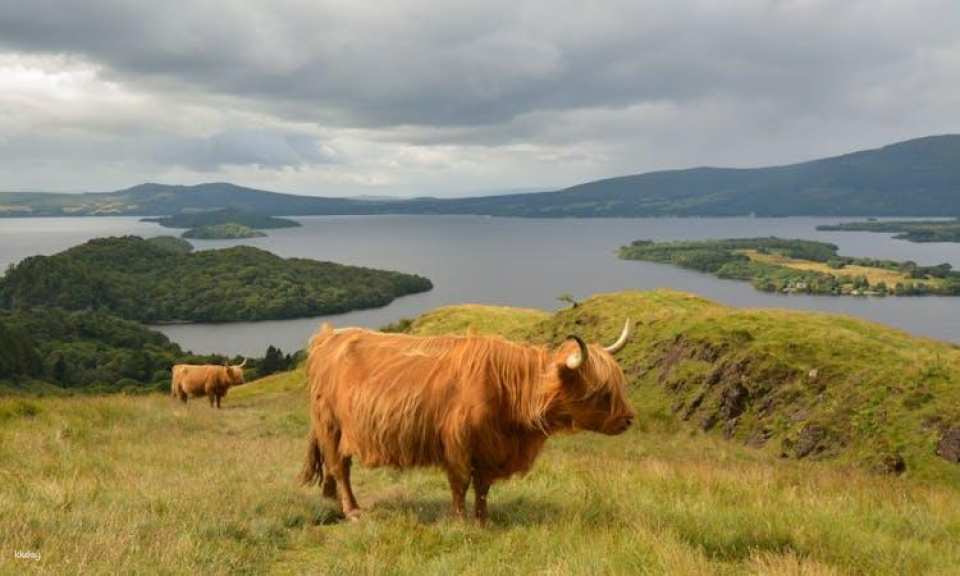 Loch Lomond, The Trossachs National Park and Stirling Castle from Glasgow
