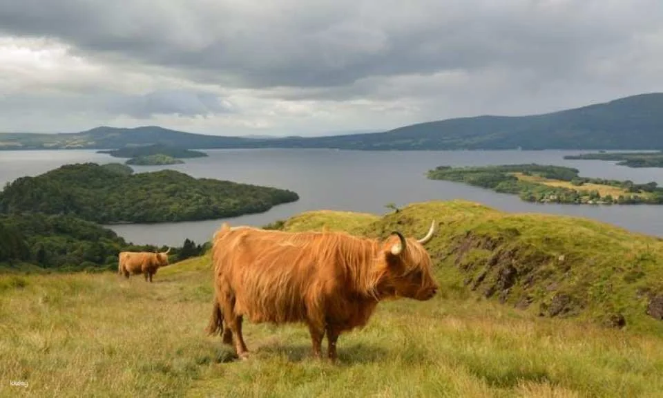 Loch Lomond, The Trossachs National Park and Stirling Castle from Glasgow