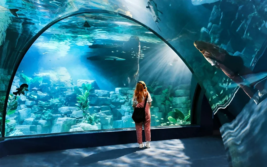 Lotte World Aquarium Hanoi Tickets Image 1