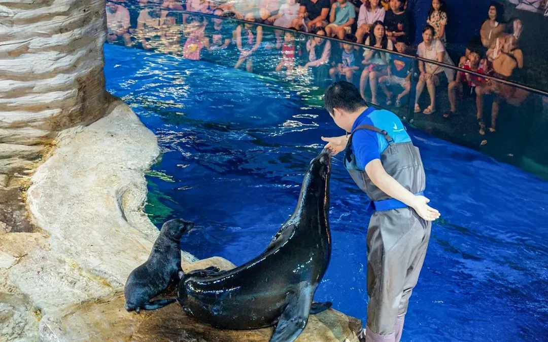 Lotte World Aquarium Hanoi Tickets Image 4