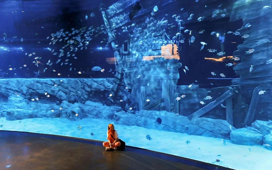 Lotte World Aquarium Hanoi Tickets Image 5