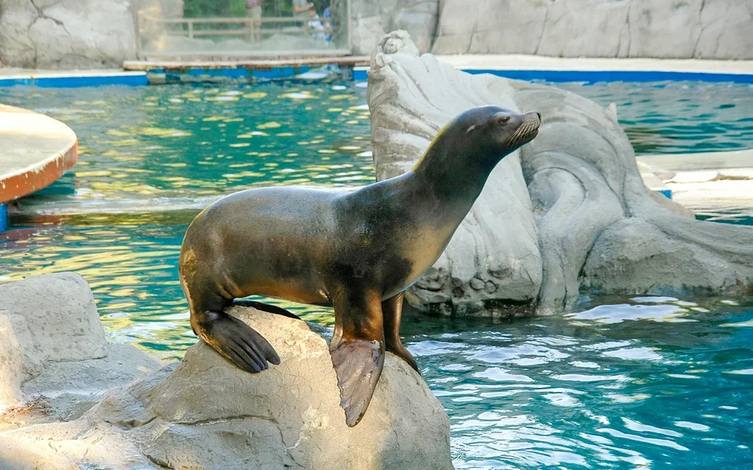 Madrid Zoo Aquarium Entry Tickets Image 11