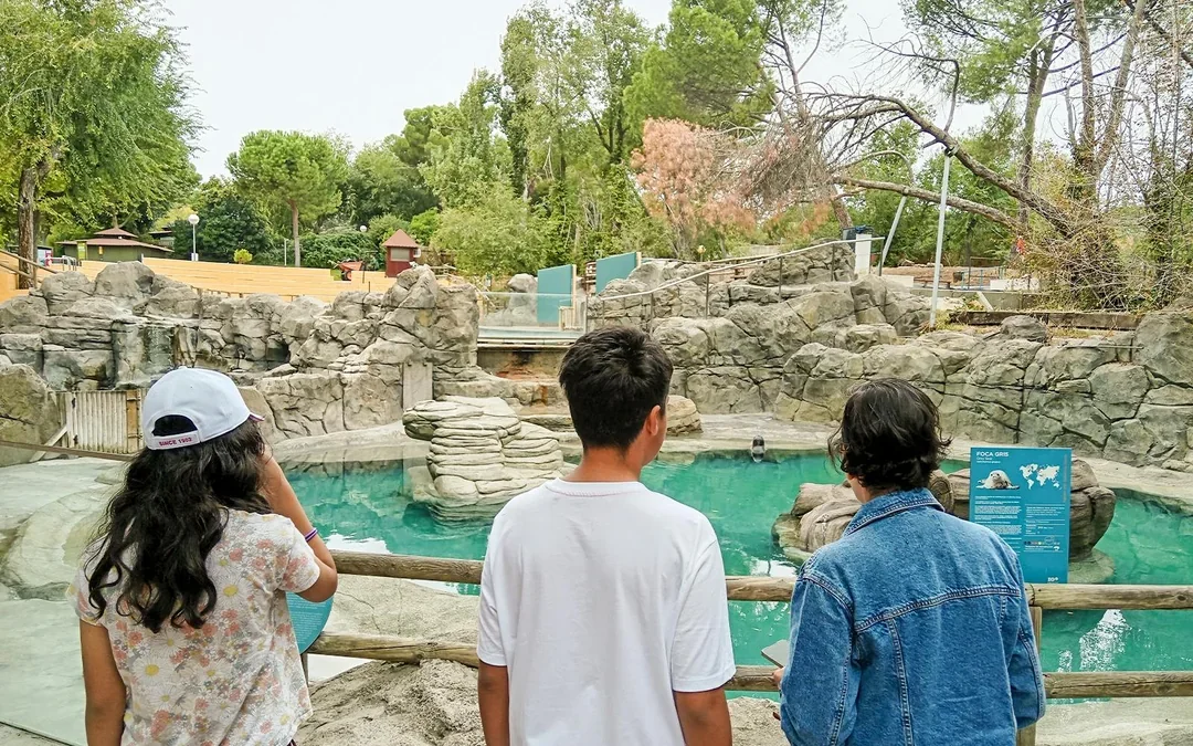 Madrid Zoo Aquarium Entry Tickets Image 6
