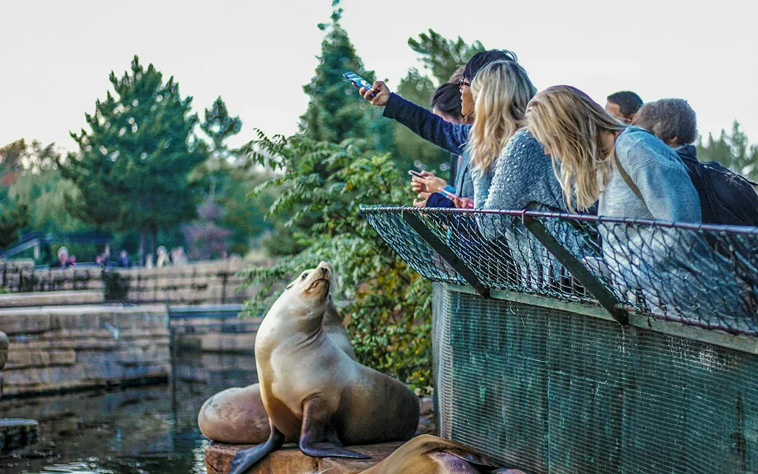 Madrid Zoo Aquarium Entry Tickets Image 7