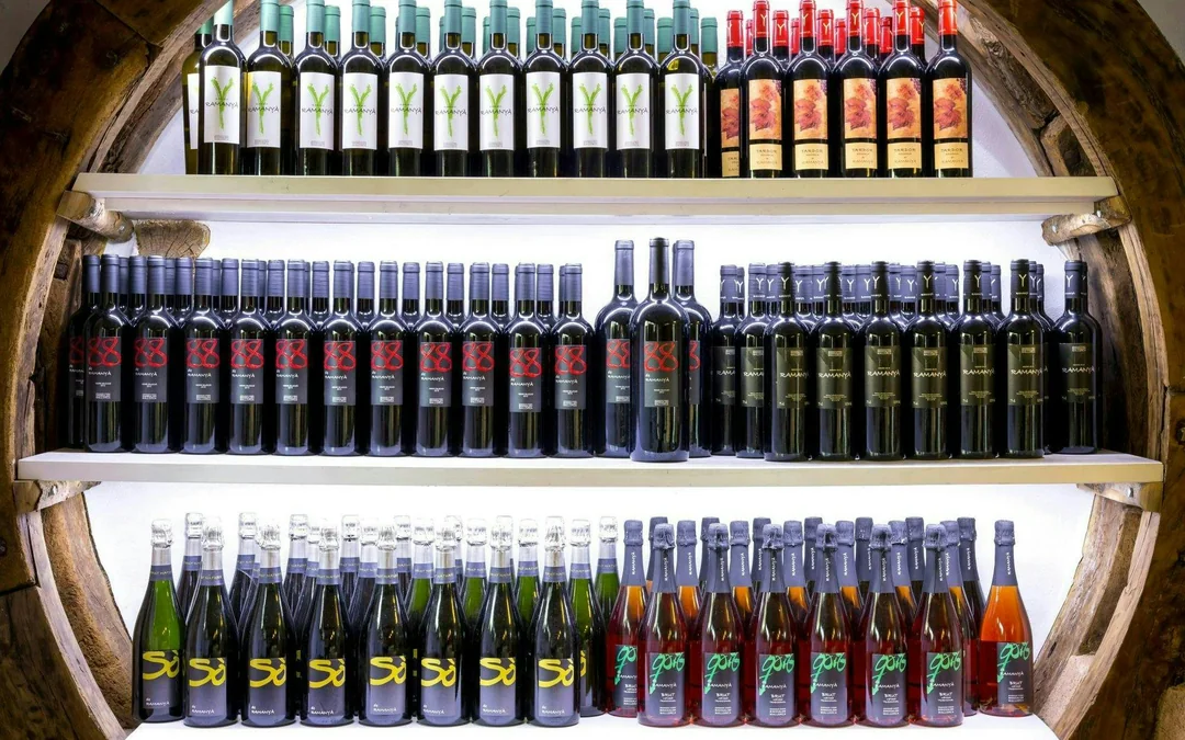 Majorca Tour with Fornalutx, Son Marroig and Wine-Tasting Image 3