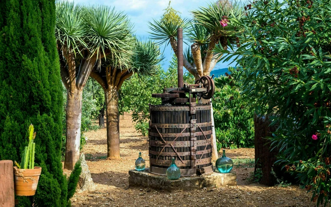 Majorca Winery Visit with Wine and Local Food Tasting Image 3
