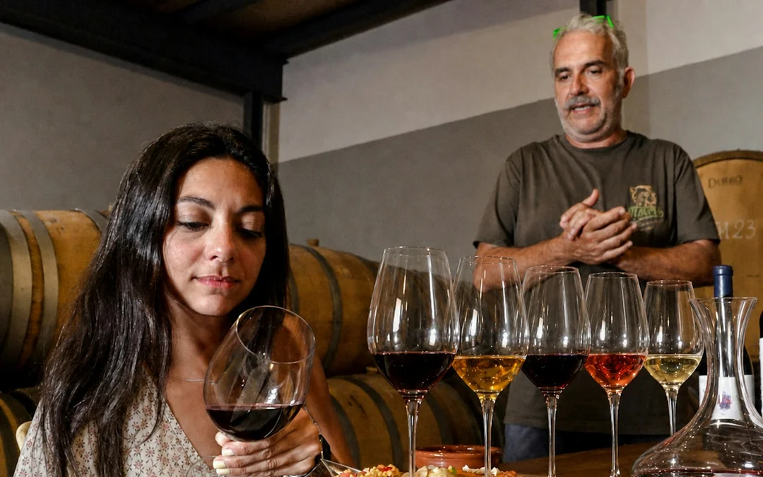 Málaga Wine Tour with Vineyard & Cellar Visits, Wine Tastings and Tapas Image 1