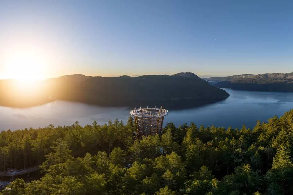 Vancouver Island: Malahat SkyWalk Ticket | Victoria
