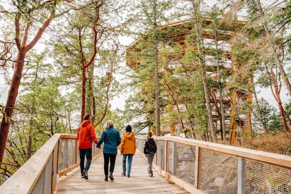 Vancouver Island: Malahat SkyWalk Ticket | Victoria