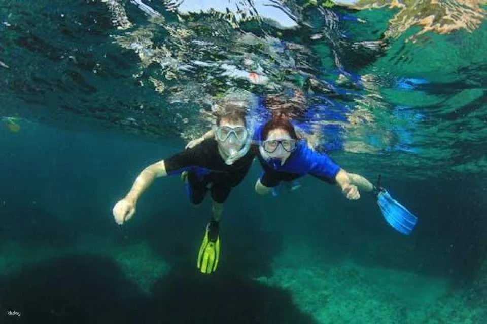 Mallorca dip and dive snorkelling and diving experience