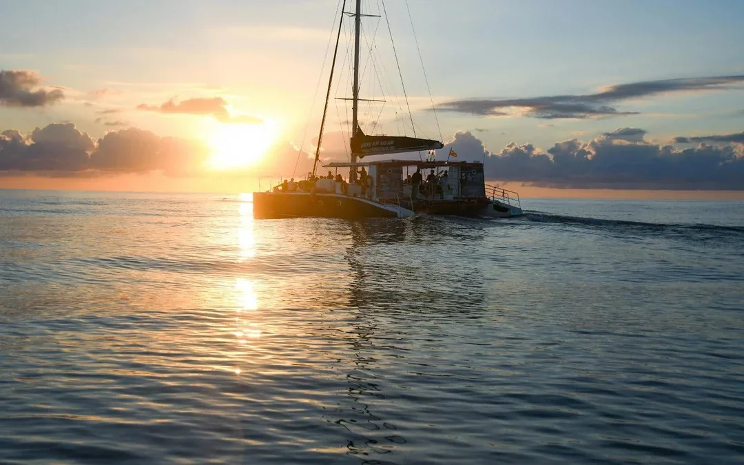 Mallorca Sunrise and Dolphin Watching Catamaran Image 1