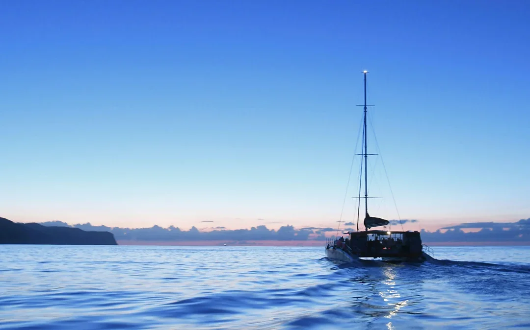 Mallorca Sunrise and Dolphin Watching Catamaran Image 5