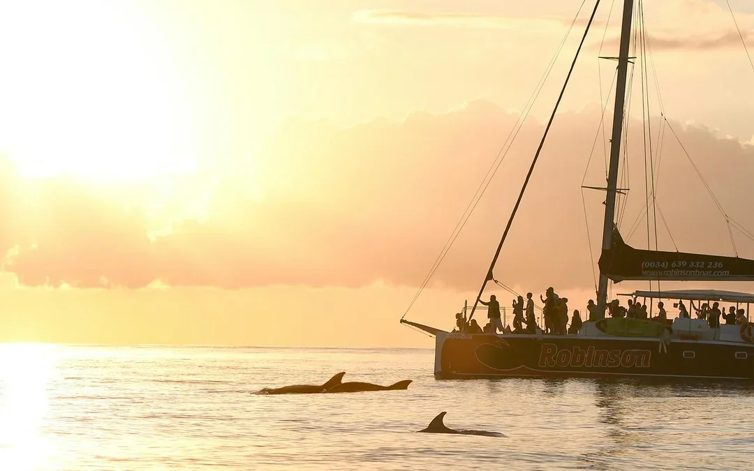 Mallorca Sunrise and Dolphin Watching Catamaran Image 8